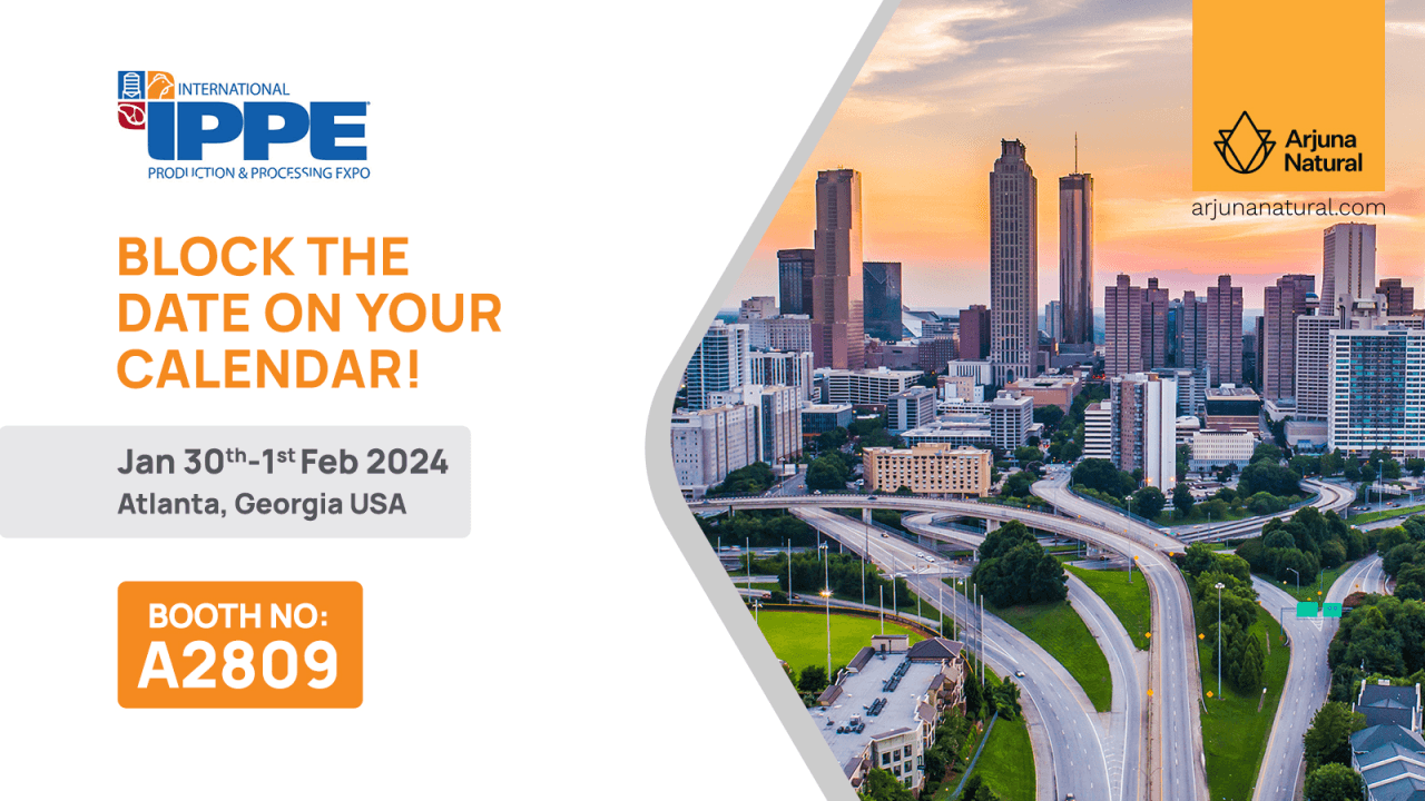 پوستر نمایشگاه IPPE 2024