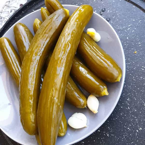 ظرف مناسب خیارشور